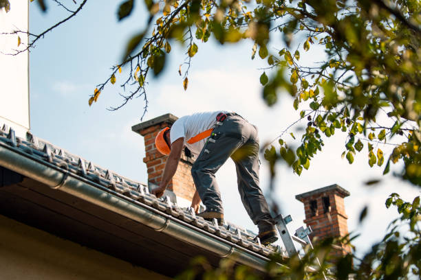 Quick and Trustworthy Emergency Roof Repair Services in Berkeley, IL